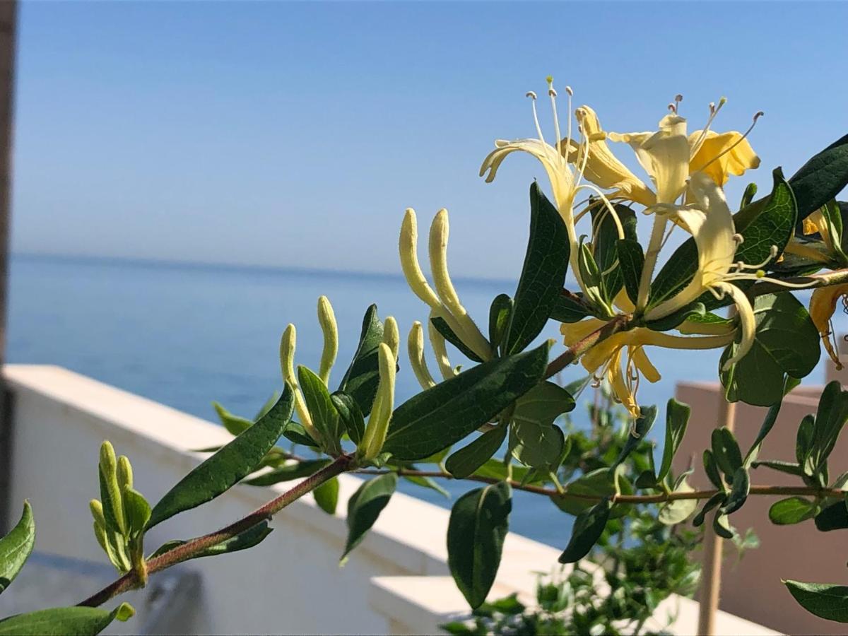 Ático en la playa con terraza privada Apartamento La Cala Del Moral Exterior foto